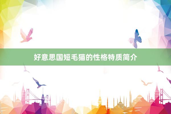 好意思国短毛猫的性格特质简介